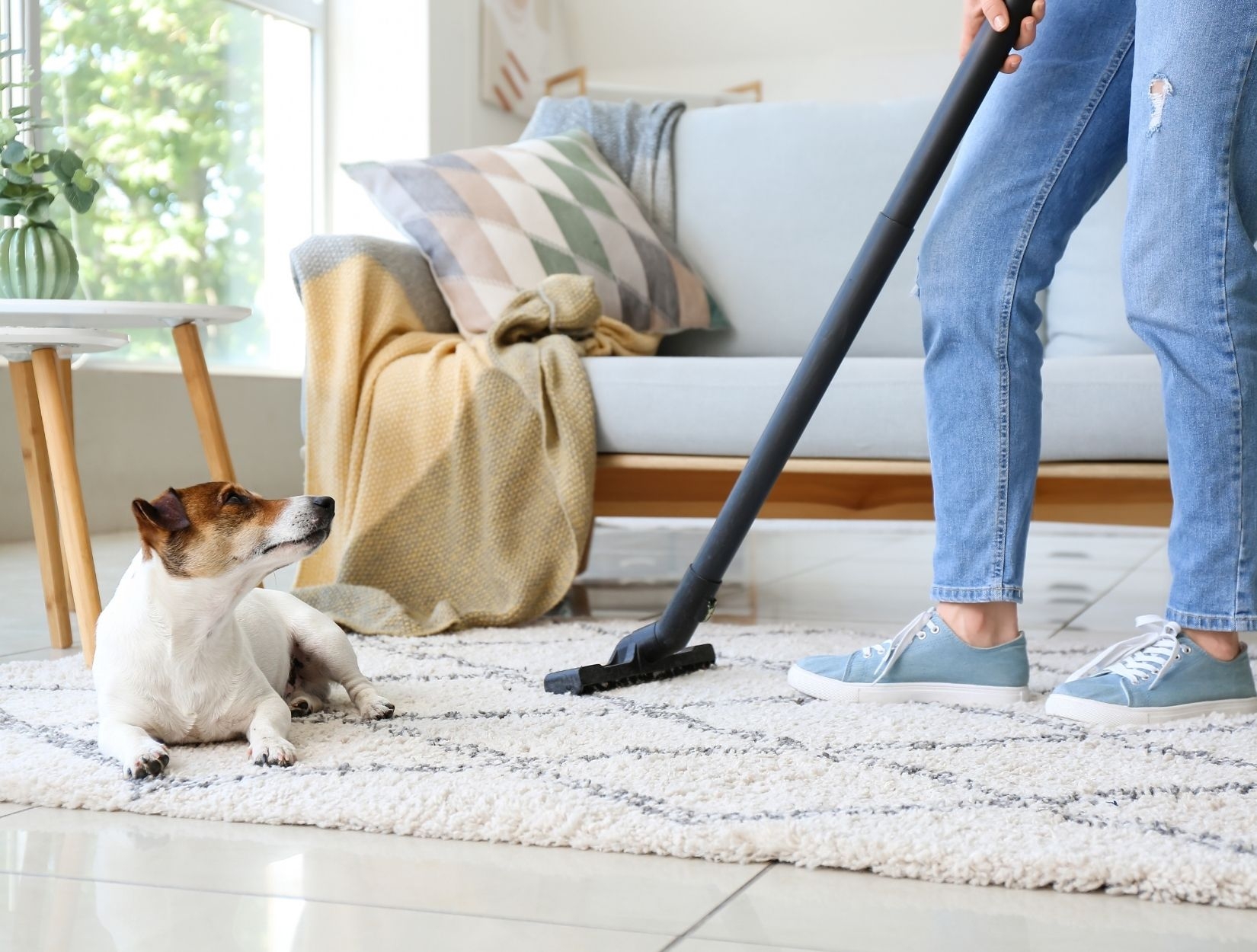 Are you searching for customer-focused home cleaning solutions in NJ?