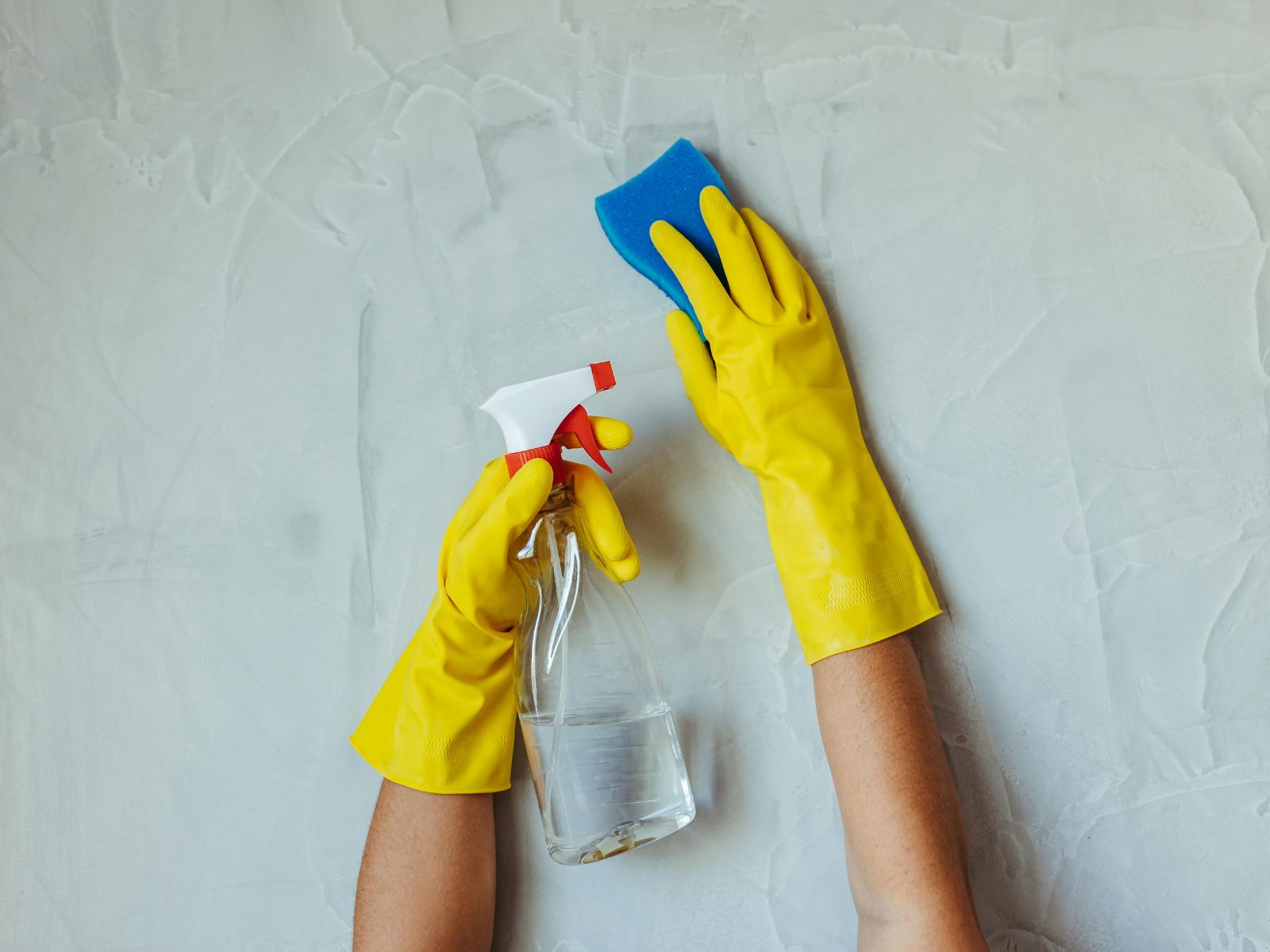 Do you clean homes with sensitive occupants?  